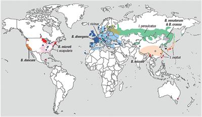 Babesia microti: Pathogen Genomics, Genetic Variability, Immunodominant Antigens, and Pathogenesis